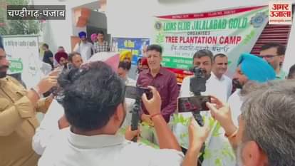 Lions Club planted trees in Jalalabad