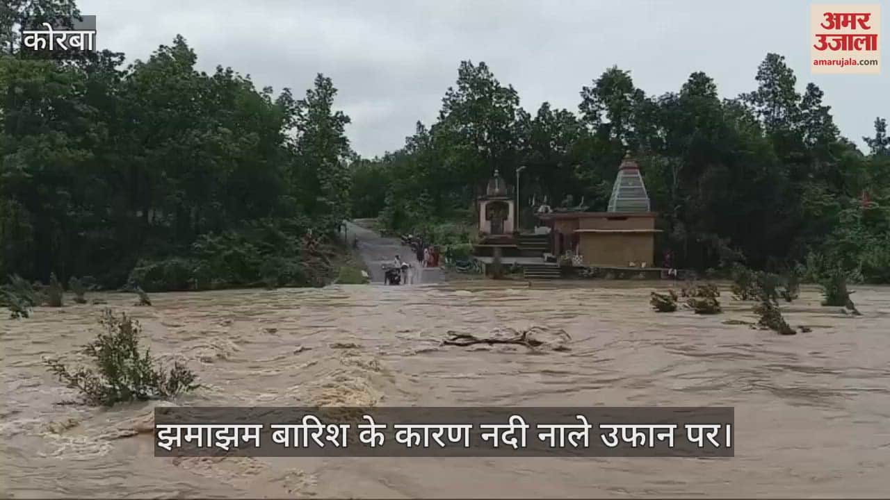 Due to heavy rains in Korba rivers and streams are in turmoil water level of Ghinara Nala rises