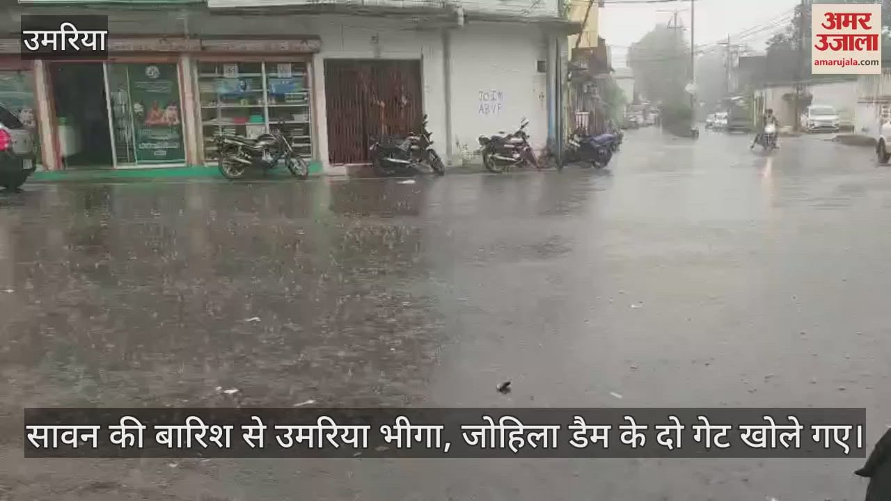 Umaria got wet due to the rain of Sawan, two gates of Johila Dam were opened