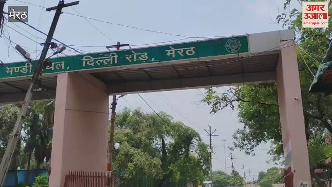 After Kanwar Mela, Vegetable and Fruit Markets on Delhi Road Buzzing Again in Meerut