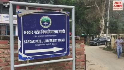 Mandi: Three students of Sardar Patel University passed the UGC NET exam