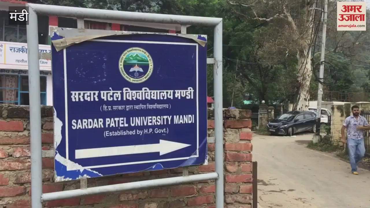 Mandi: Three students of Sardar Patel University passed the UGC NET exam