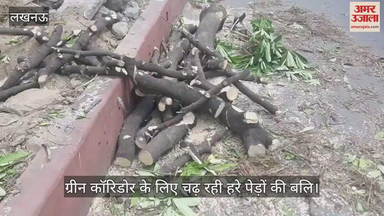 लखनऊ में ग्रीन कॉरिडोर के लिए चढ़ रही हरे पेड़ों की बलि