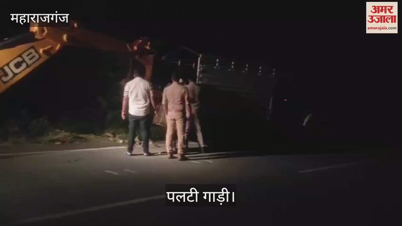 Animal smugglers hit a Bolero car with a pickup, cattle died