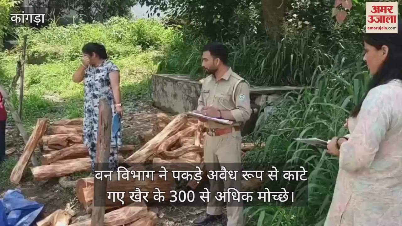 The forest department seized more than 300 illegally cut Khair trees