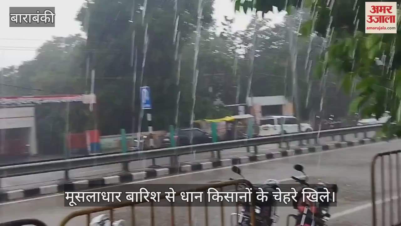 VIDEO: बाराबंकी में मौसम ने ली करवट, मूसलाधार बारिश से धान किसानों के चेहरे खिले