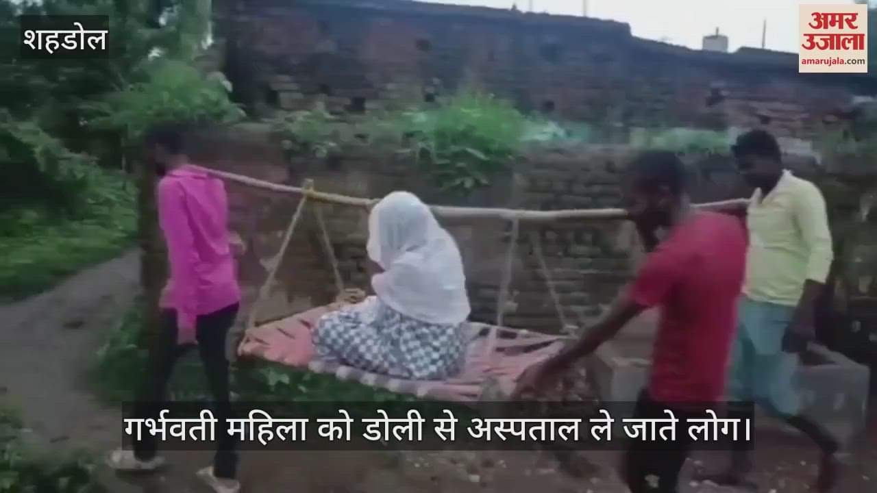 Pregnant woman was carried to hospital in a doli, video surfaced, case of Byauhari area