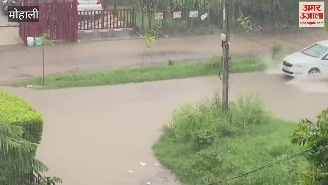 Rain in Mohali