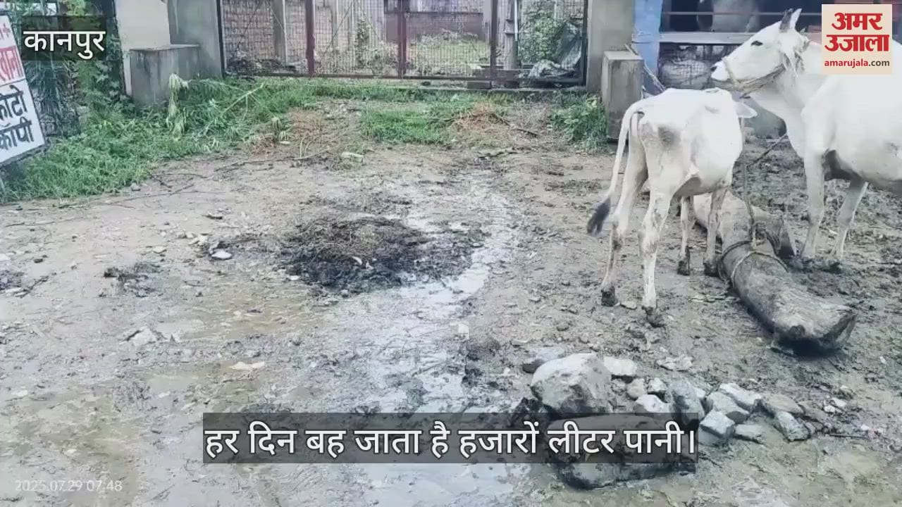 कानपुर में पानी की टंकी से लीकेज, सैय्यद नगर में सड़कें खराब, बच्चों को खतरा