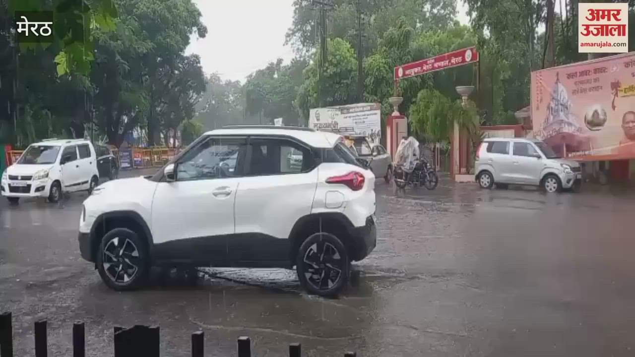 Rain: Heavy rain changed the weather in Meerut, there was a problem of waterlogging, but the faces of the farmers were happy