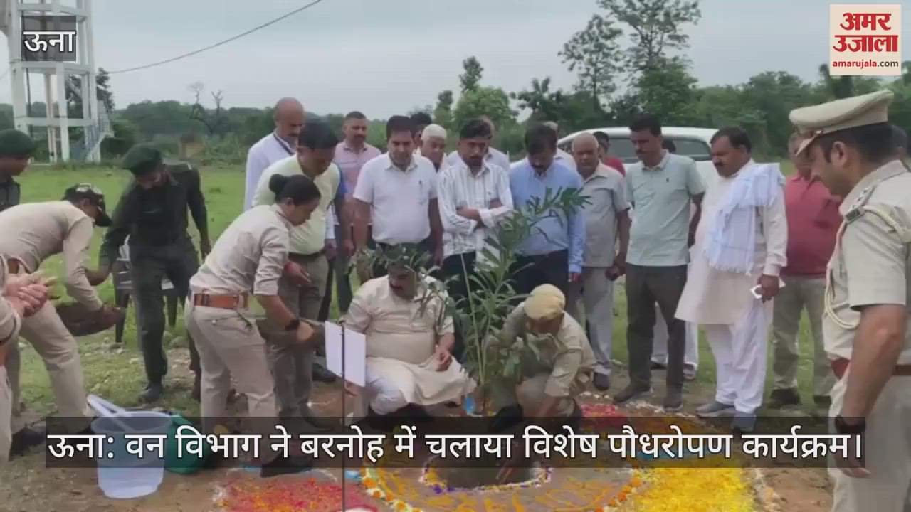 Una: Forest department organized a special plantation program in Barnoh