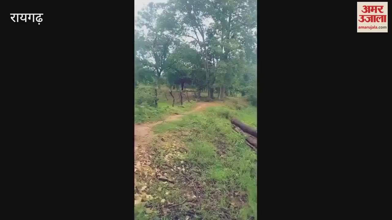 Dogs attack a Cheetal that strayed from forest in Gadaynbahari