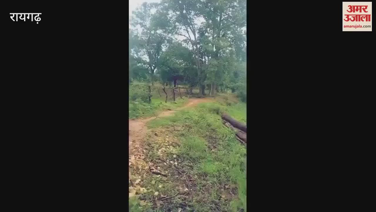 Dogs attack a Cheetal that strayed from forest in Gadaynbahari