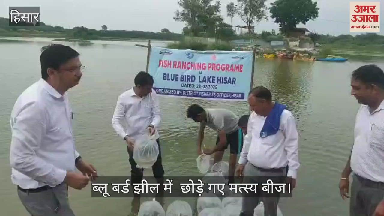 Five lakh IMC fish seeds released in Blue Bird Lake