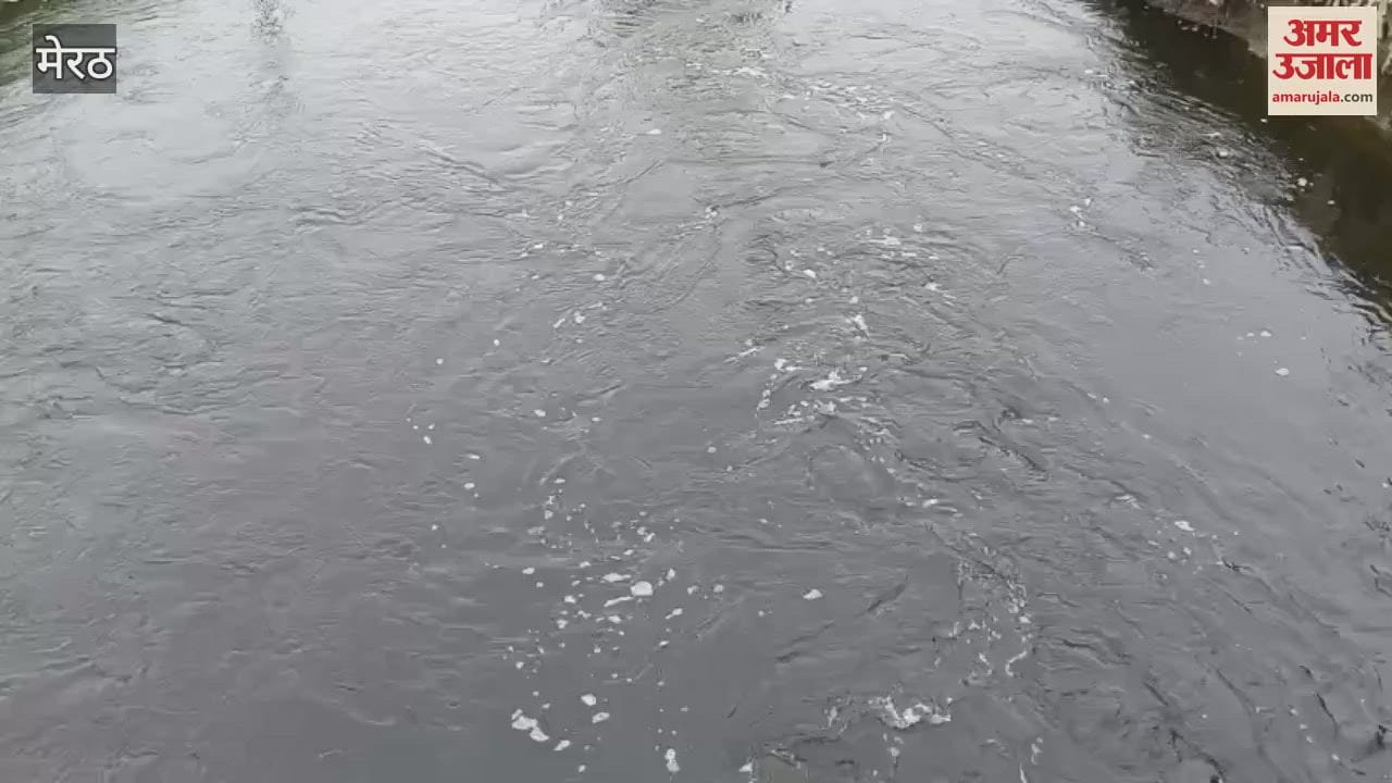 Toxic Chemical Water Flowing in Budhi Ganga River Threatens Aquatic Life and Crops in Hastinapur