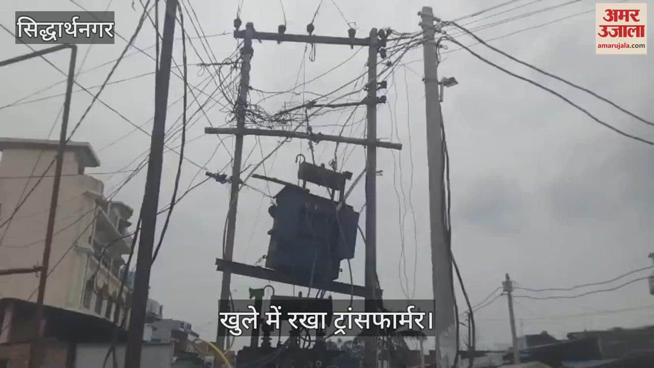Negligence of electricity department can be fatal