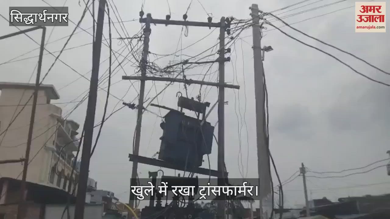 Negligence of electricity department can be fatal