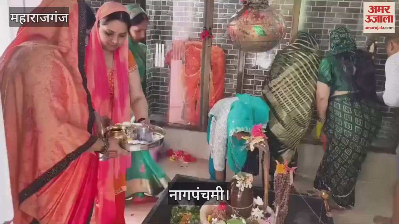 Worship was done in temples on Nag Panchami