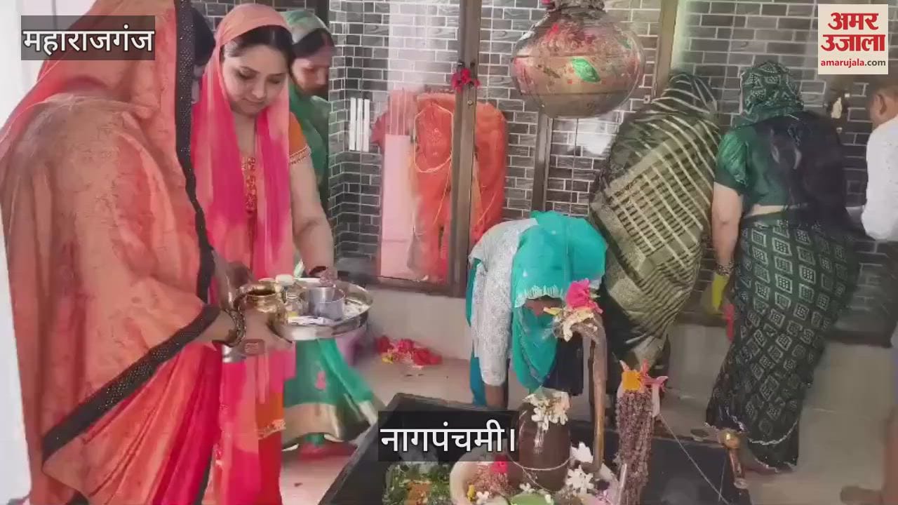 Worship was done in temples on Nag Panchami