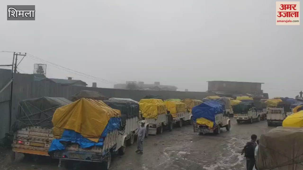 Shimla Bhattakufar fruit market packed lines of vehicles reached the road