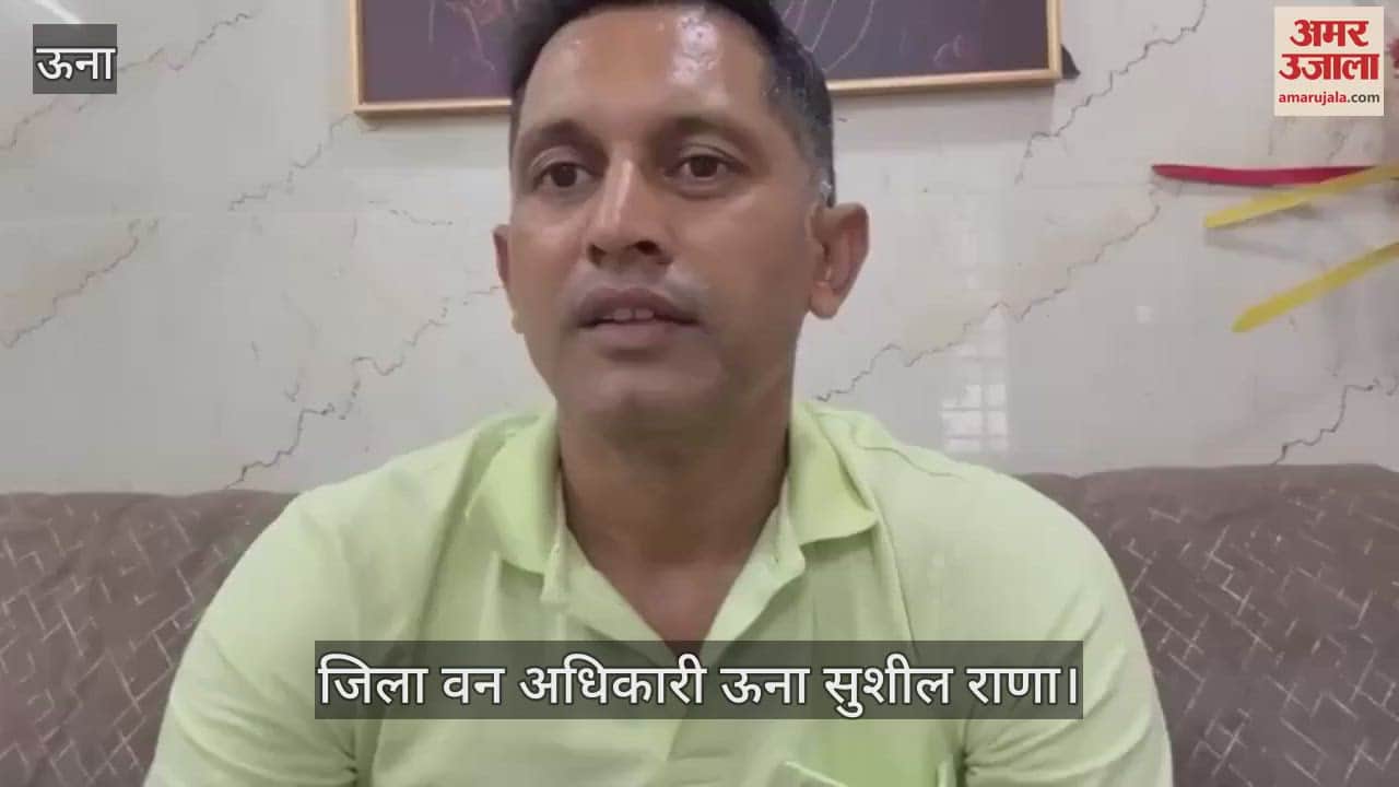 DFO Una said- Do not panic after seeing the wild animal, but immediately inform the forest department