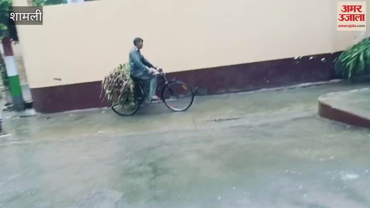 Shamli: Heavy rain makes the weather pleasant, relief from heat, farmers faces brighten