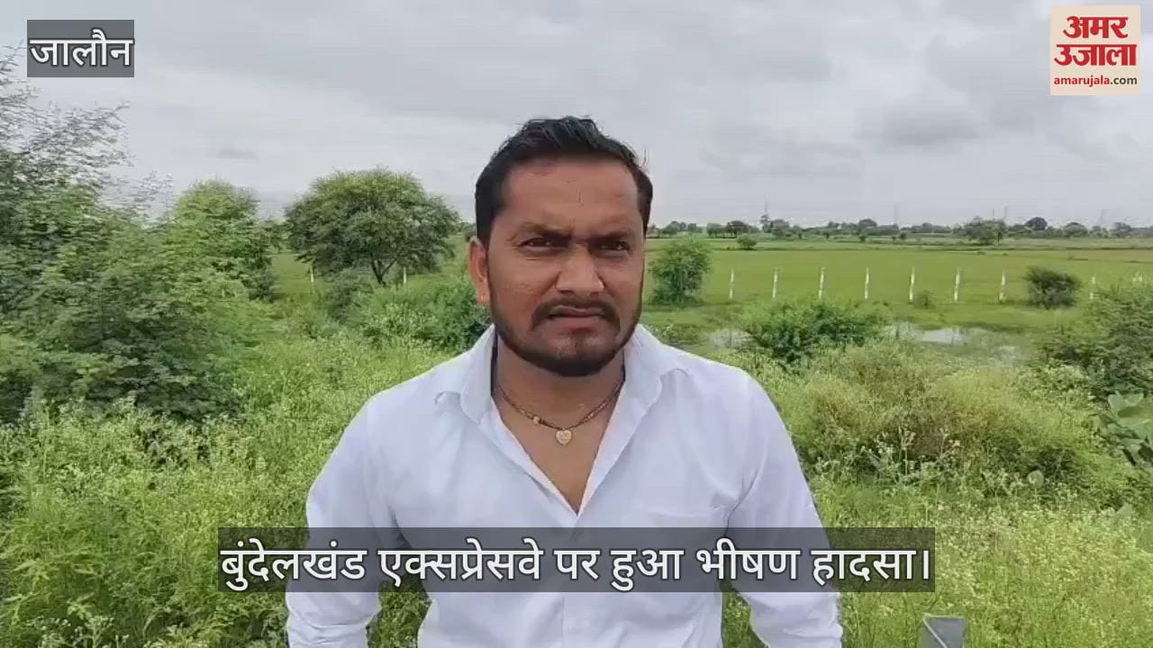 जालौन में डीसीएम ने खड़े ट्रक में मारी टक्कर, एक दर्जन से अधिक मवेशियों की मौत
