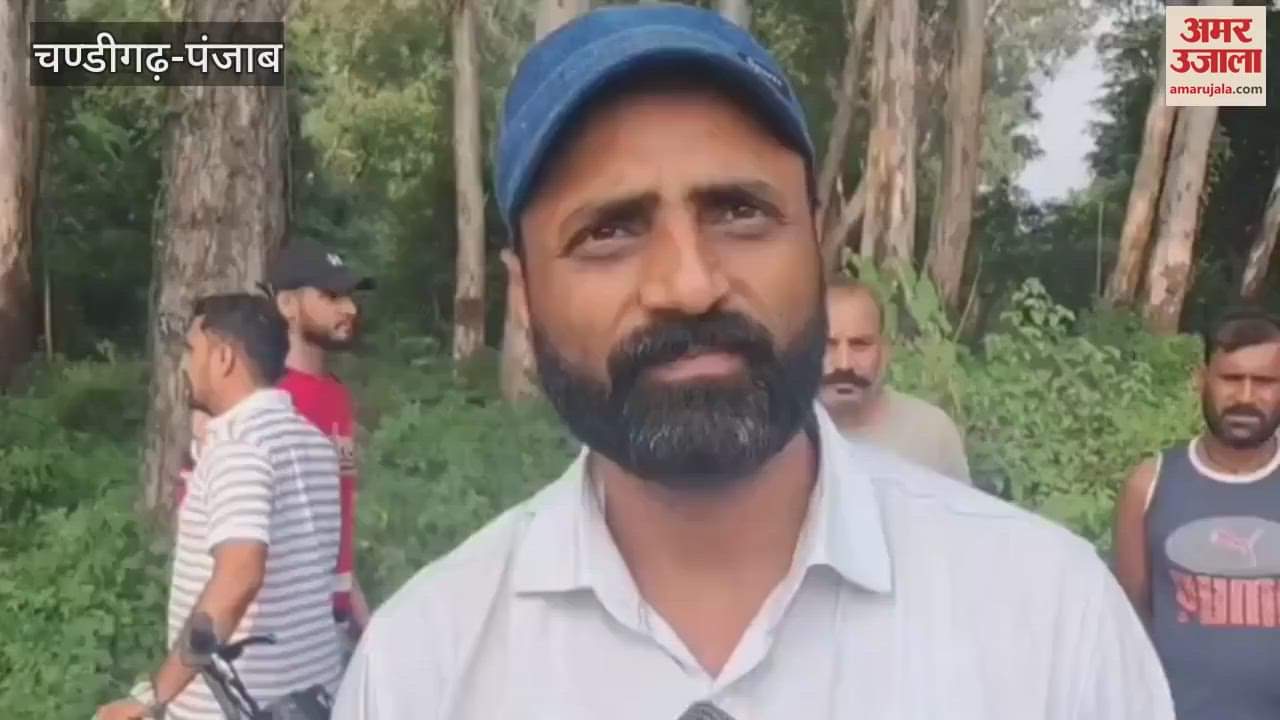 Truck hit bike youth dies in Pathankot