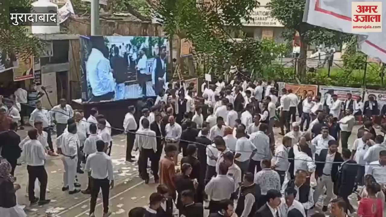 2423 advocates voted for 21 posts of Moradabad Bar, counting of votes will be done on July 30