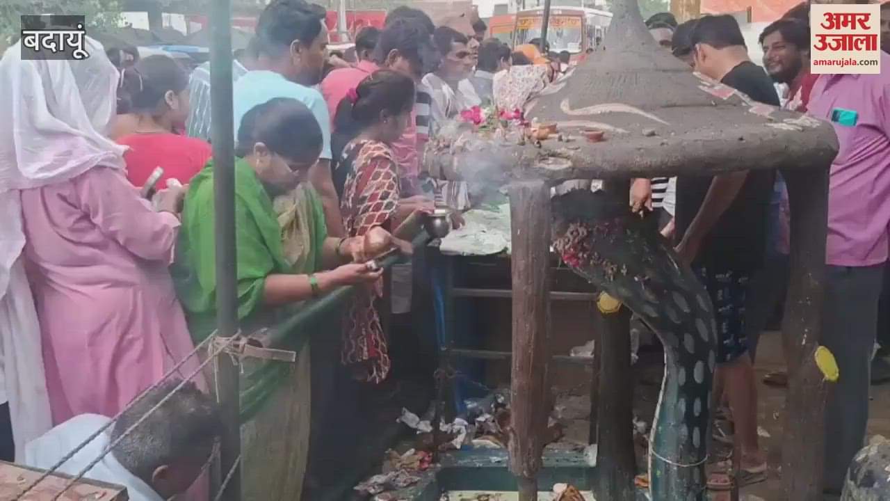 Devotees worshiped on Nag Panchami in Badaun