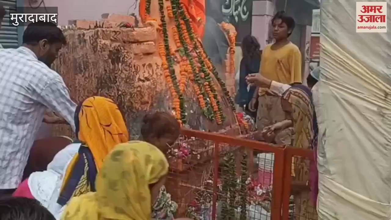 Crowds gathered at Daulat Bagh's Nag Math, milk was offered to the snake deity