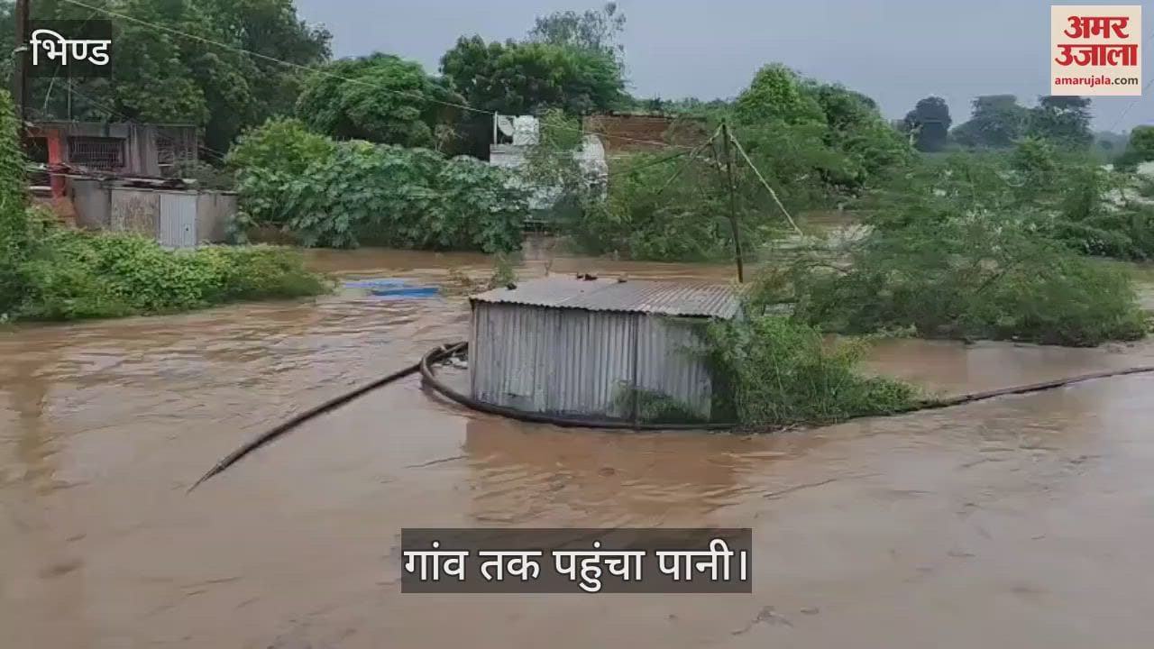 Mp Flood: People Including Brothers Died In Bhind; Many