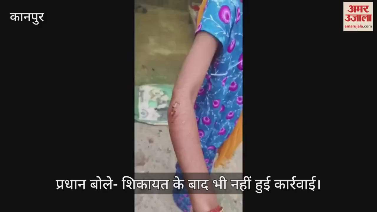 कानपुर के नारायणपुर में कटखने बंदरों का आतंक, तीन दिन के भीतर आधा दर्जन को किया घायल