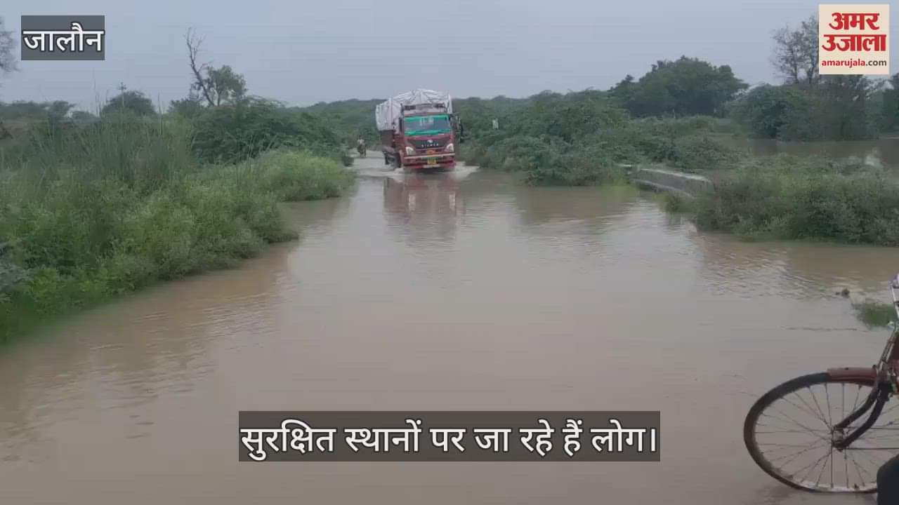 जालौन में खतरे के निशान पर पहुंची यमुना, प्रशासन ने कई गांवों में जारी किया अलर्ट