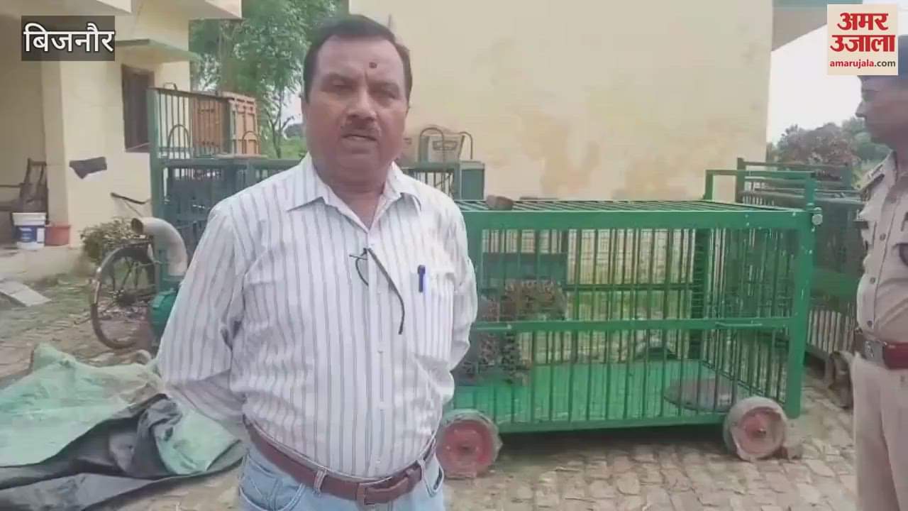 Bijnor: Leopard caught in Keshopur forest in Seohara, imprisoned in forest department's cage