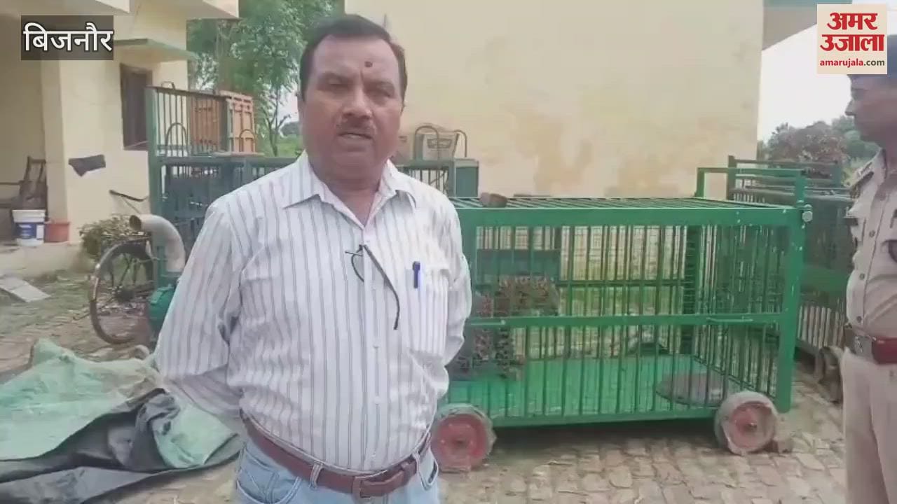 Bijnor: Leopard caught in Keshopur forest in Seohara, imprisoned in forest department's cage