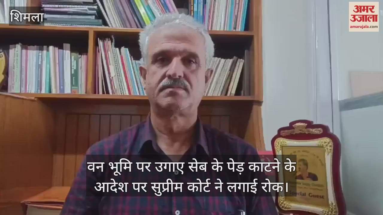 Supreme Court stays High Court's order to cut down apple trees grown on encroached forest land