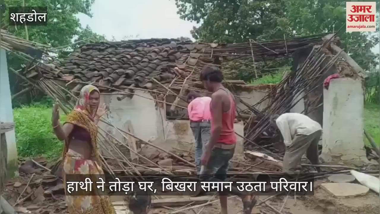 Shahdol News: Elephant created havoc in two villages, broke kutcha houses; many families homeless