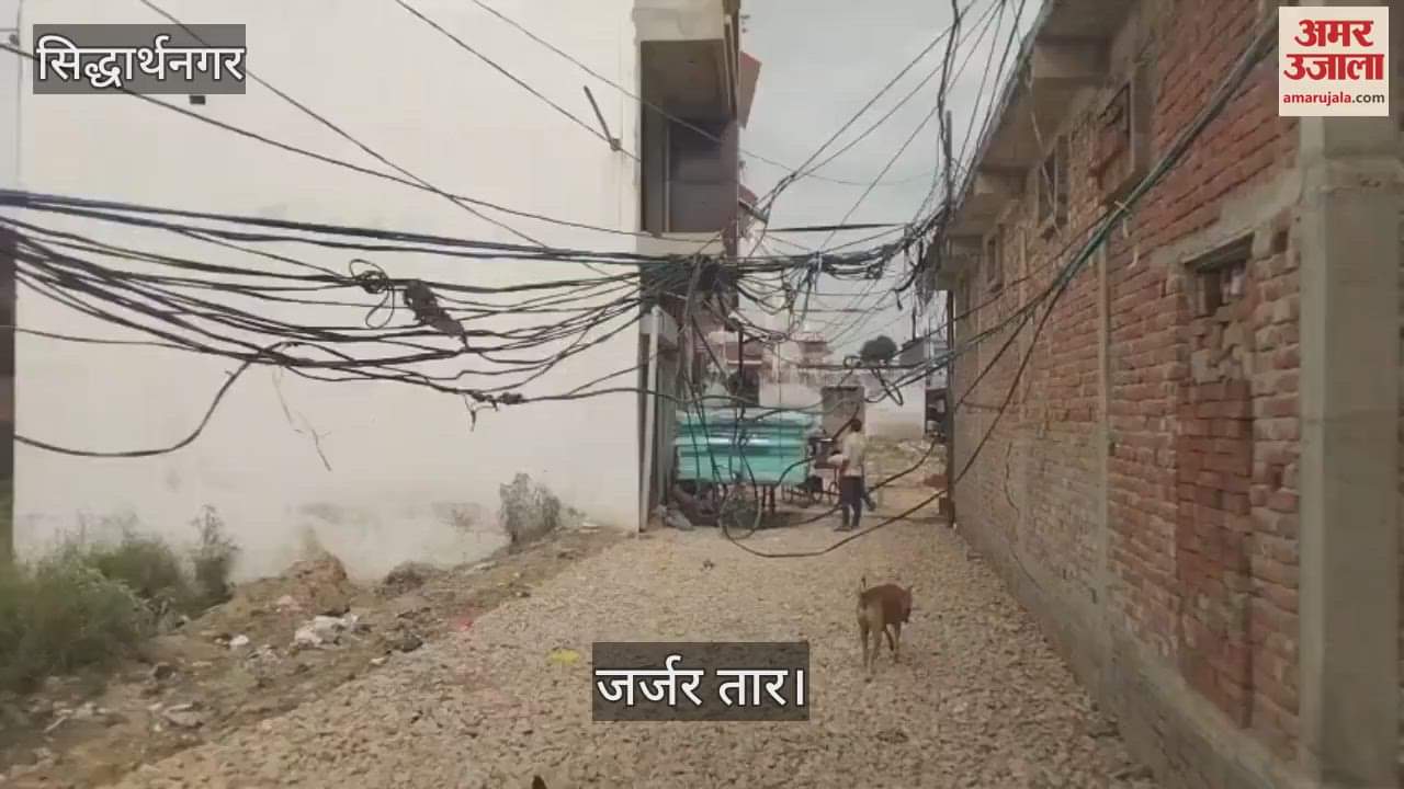 Risk of accident due to damaged wire