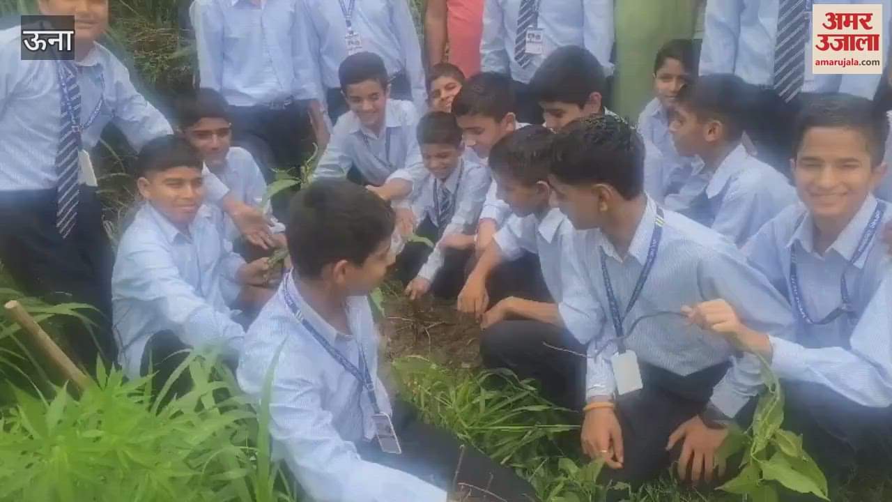 Una Under the campaign One tree in the name of mother fruit trees were planted in Arya Public School
