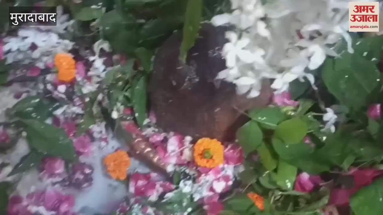 Devotees gathered to perform Jalabhishek on the third Monday of Sawan at 84 Ghanta Temple