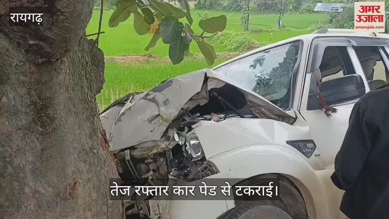A speeding car lost control and hit a roadside tree in Raigad, three people injured