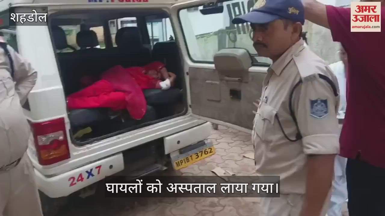 Shahdol News: Auto falls into ditch at Patkhai Ghat, eight people injured; Four in critical condition