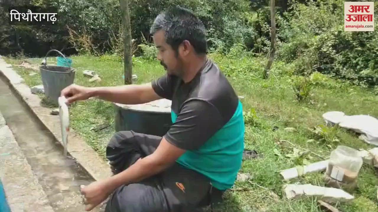 Fish farmers suffer huge losses due to damage to canals due to rain in dharchula