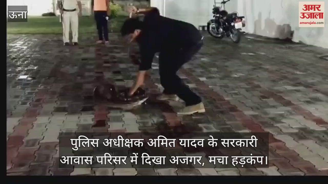 giant python was seen in the police superintendent's official residence, causing a stir