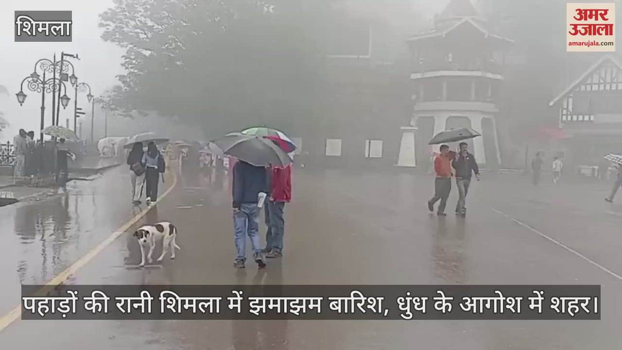 Heavy rain in Shimla, the queen of mountains, city in the grip of fog