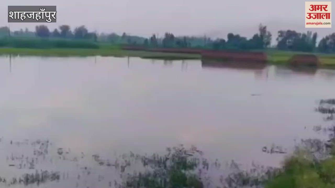 Crocodile reached in pond in Shahjahanpur Powayan