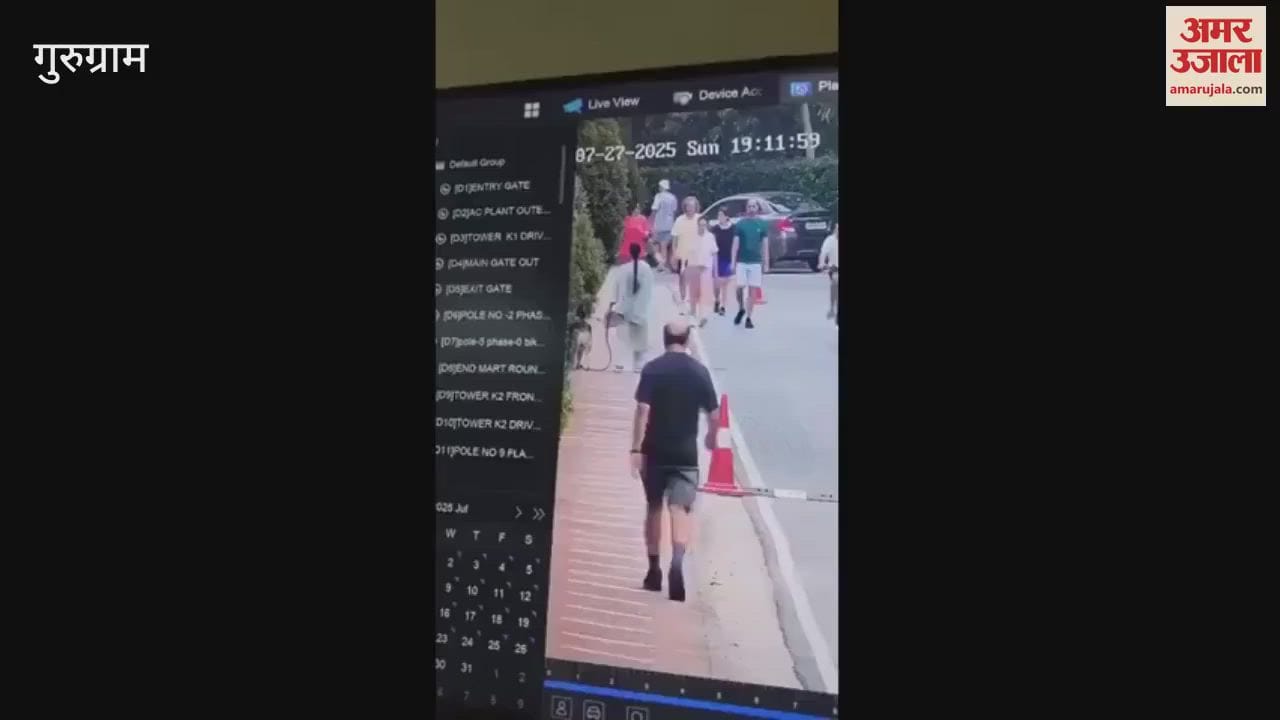 Woman attacked by pet husky in posh Gurugram society