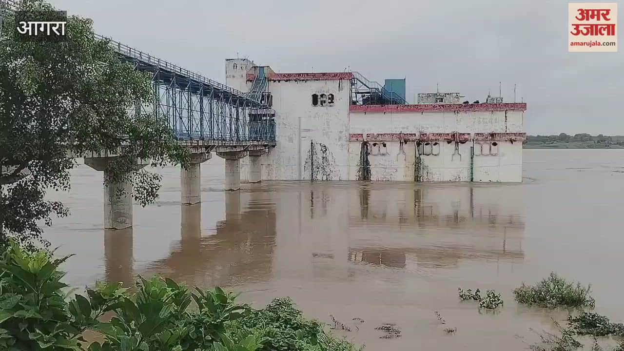 Chambal water level near danger mark