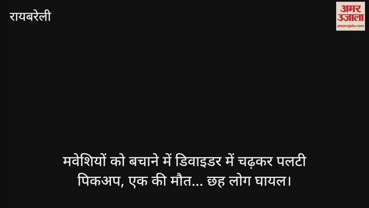 रायबरेली में मवेशियों को बचाने में डिवाइडर में चढ़कर पलटी पिकअप, एक की मौत... छह लोग घायल